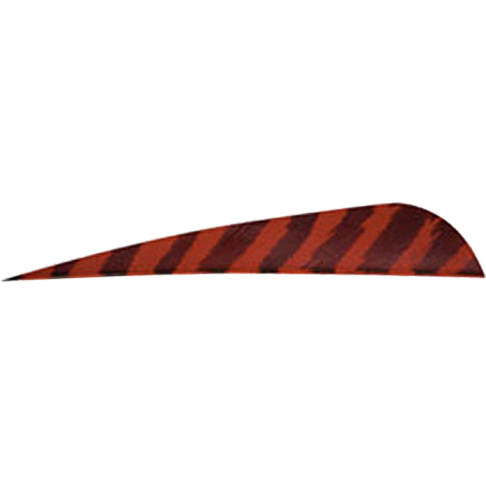 Gateway 4 in. Red Barred Parabolic Arrow Feathers RW 50 pk.