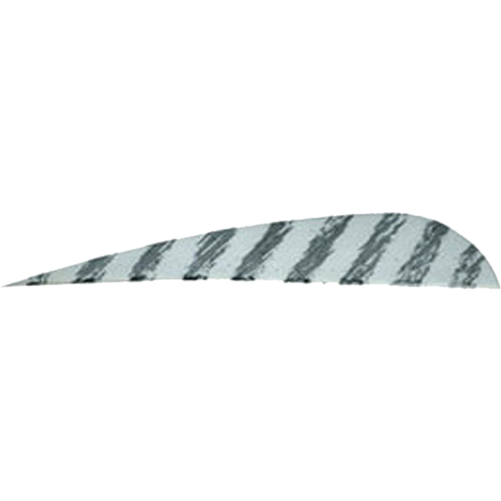Gateway 4 in. White Barred Parabolic Arrow Feathers RW 50 pk.