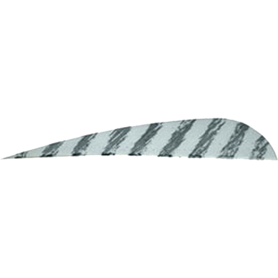 Gateway 4 in. White Barred Parabolic Arrow Feathers RW 50 pk.