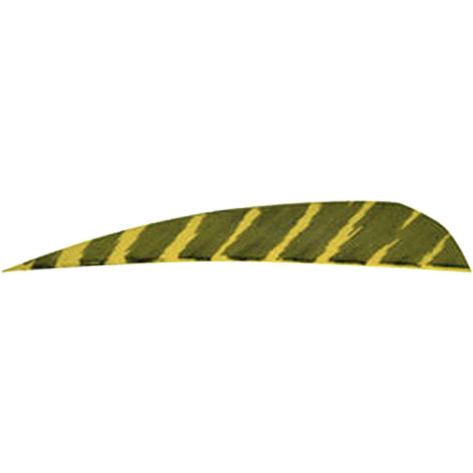 Gateway 4 in. Yellow Barred Parabolic Arrow Feathers RW 50 pk.