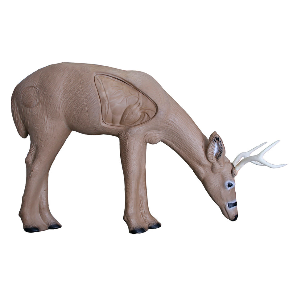 Rinehart Broadhead Buck Bowhunting Target with Vital Organs Outline