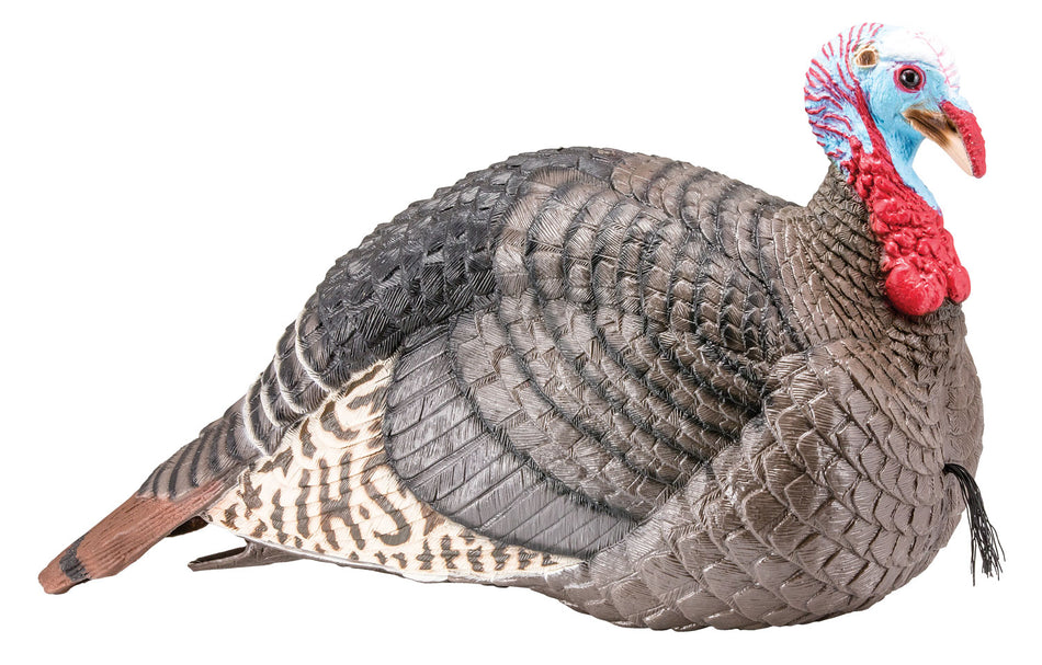 HS Strut Strut-Lite Jake Wild Turkey Decoy Foldable Lightweight Multi-Color with 2-Piece Stake