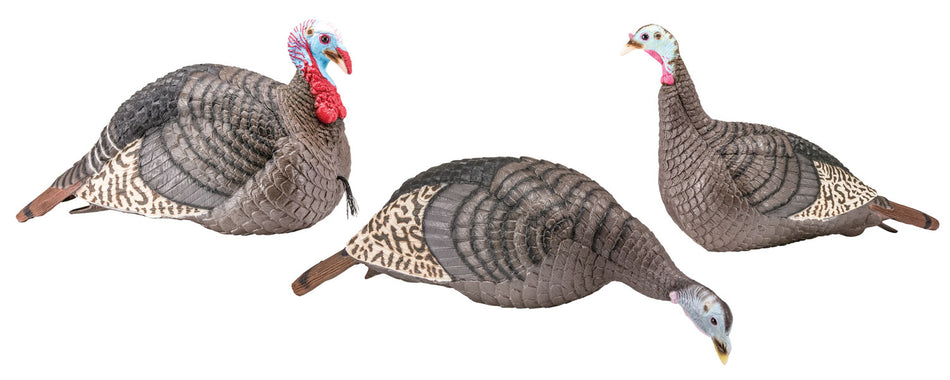 HS Strut 100006 Jake Upright Hen and Feeding Hen Turkey Decoy Flock 3 Per Pack