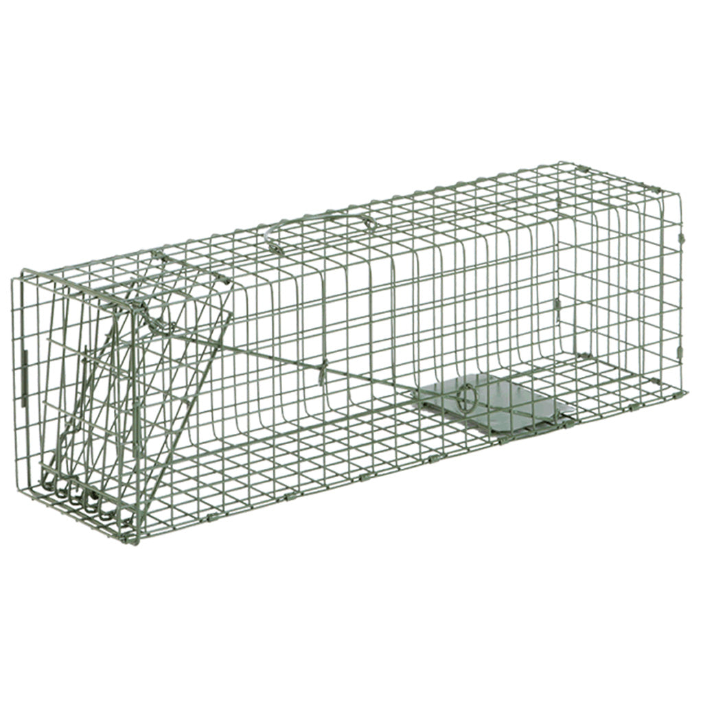 Duke Standard Series No. 2 Live Cage Trap for Medium Animals