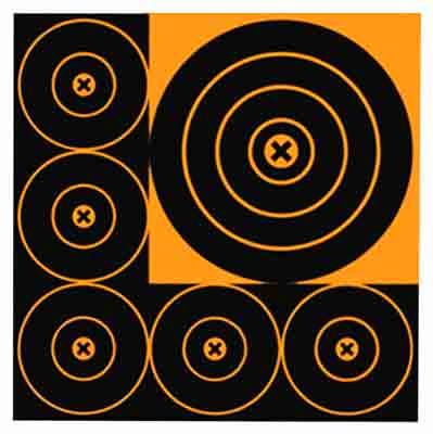 Birchwood Casey Target Big Burst 8" Bull's-Eye 15 Targets 3 Sheets
