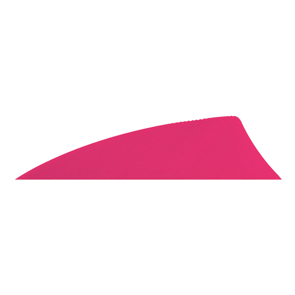 Gateway Rayzr 2 in. Pink RW Arrow Feathers 50 pk.