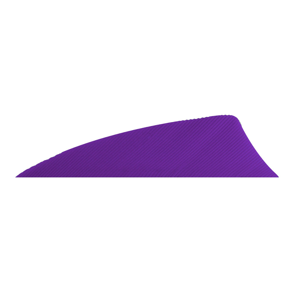 Gateway Rayzr 2 in. Purple RW Arrow Feathers 50 pk.