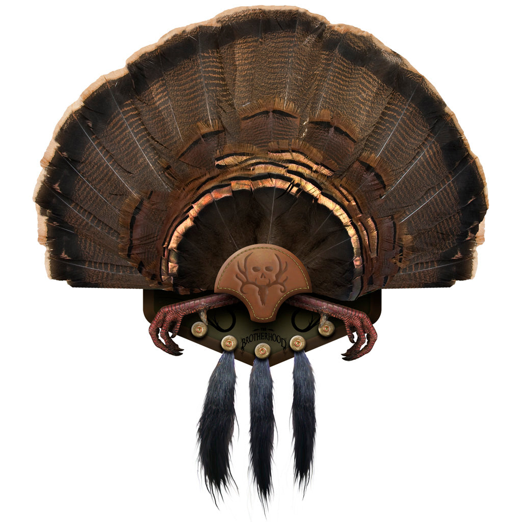 Mountain Mikes Turkey Beard Display Holds 5 Beards