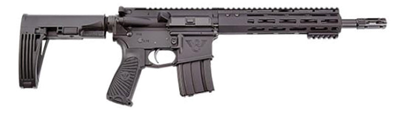 Protector Pistol 300Blk 11.3" Blk 30Rd
