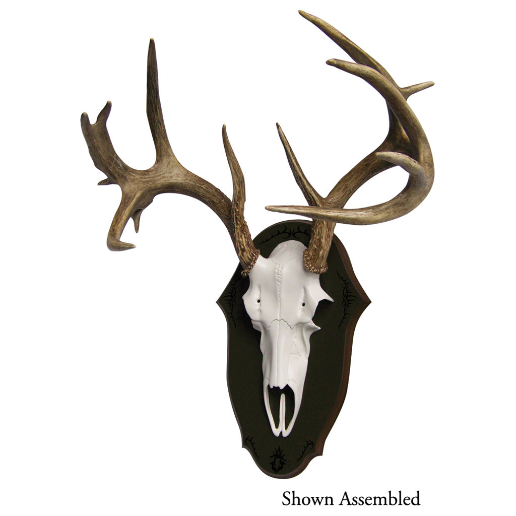 Mountain Mike's Black Forest DIY Deer Antler Plaque Kit
