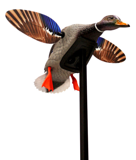Mojo Outdoors Elite Series Mini Mallard Drake Decoy with Drop-In Battery Holder, Multi Color