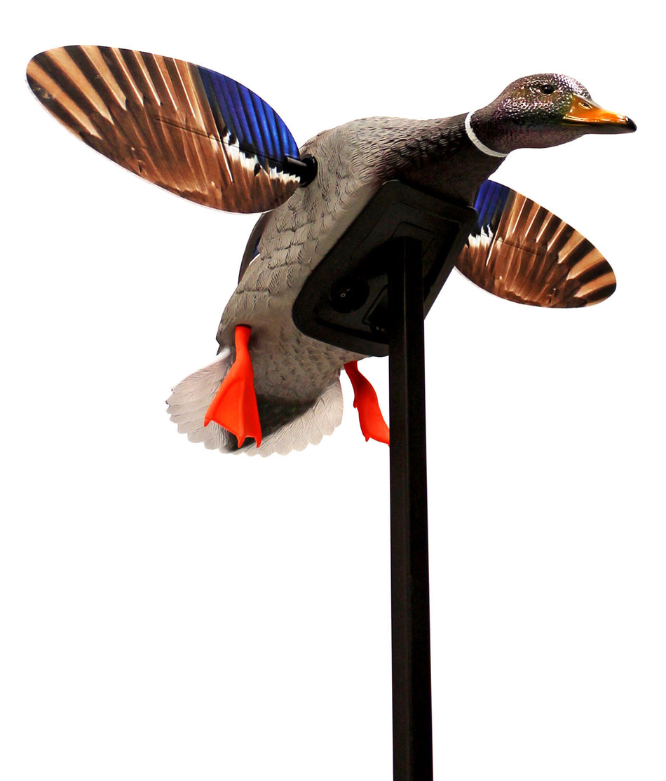 Mojo Outdoors Elite Series Mini Mallard Drake Decoy with Drop-In Battery Holder, Multi Color