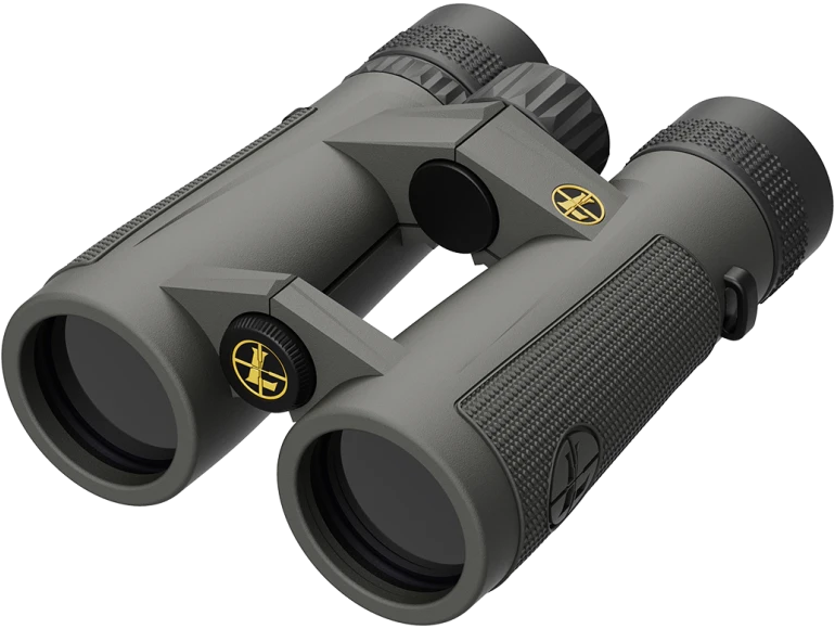 Leupold BX-5 Santiam HD 8x42 Shadow Gray