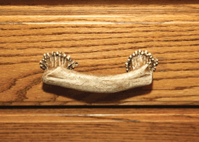 Rivers Edge 4" Antler Poly Resin Drawer Handle
