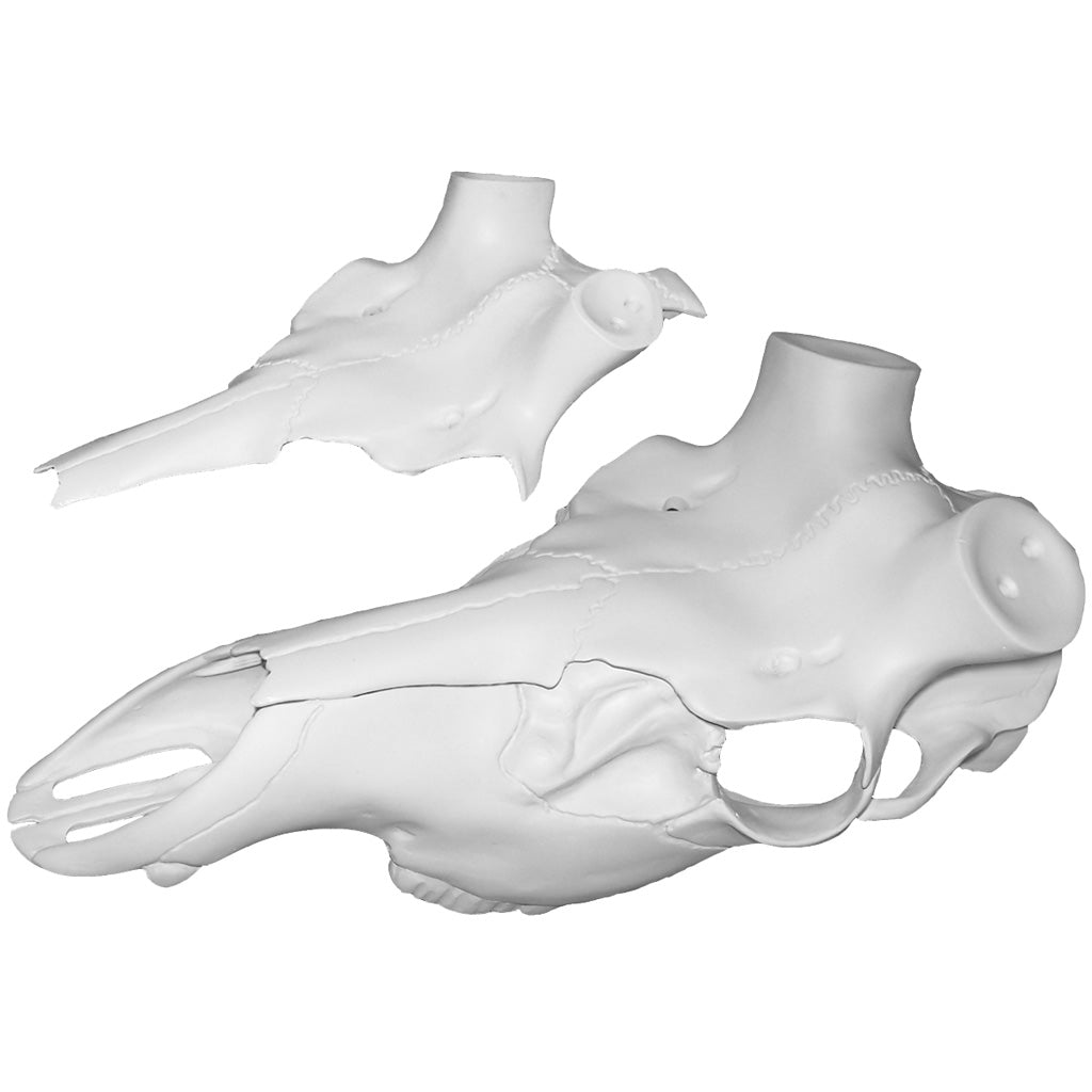 Mountain Mikes Elk Skull Master Universal Antler Mount Kit