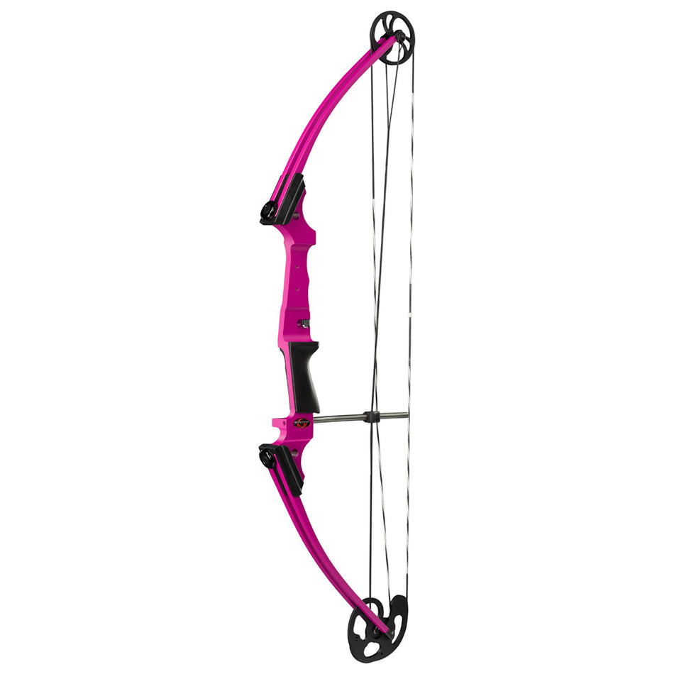 Genesis Single Cam Archery Bow Purple LH
