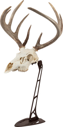 Allen Brown EZ Mount Skull Centerpiece Stand