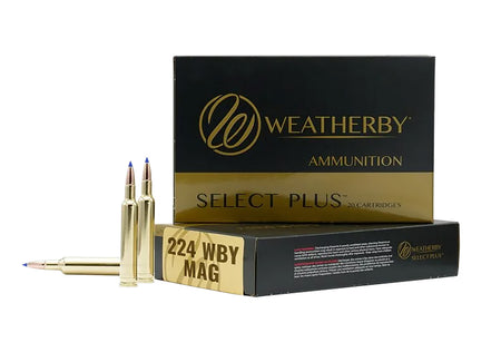 Weatherby .224 Weatherby Mag Rifle Ammo  Hornady V-Max PolyTip 50 grain 