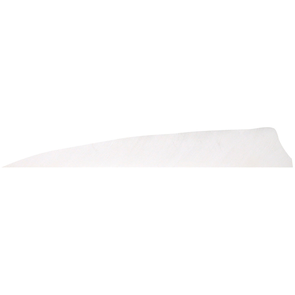 Gateway 4 in. Right Wing White Shield Cut Fletching Feathers 100 Pk.