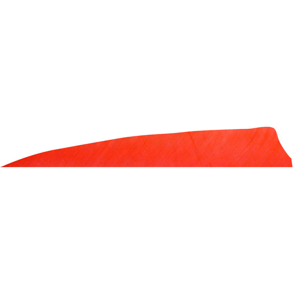 Gateway 4 in. Right Wing Red Shield Cut Fletching Feathers 100 Pk.