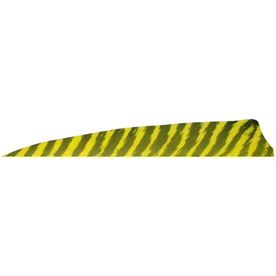 Gateway 4 in. Right Wing Barred Yellow Shield Cut Fletching Feathers 100 Pk.