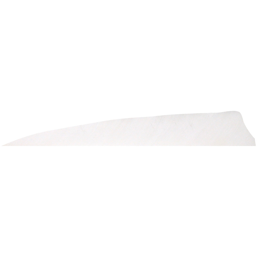 Gateway 5 in. Right Wing White Shield Cut Fletching Feathers 100 Pk.