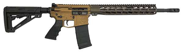 Dark Storm DS15 Typhoon Standard 5.56 Rifle - CH Finish
