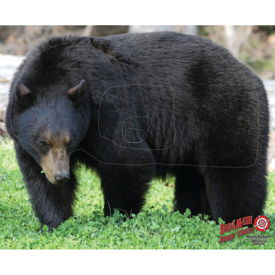DuraMesh Black Bear Archery Target, 32 in. x 25 in.