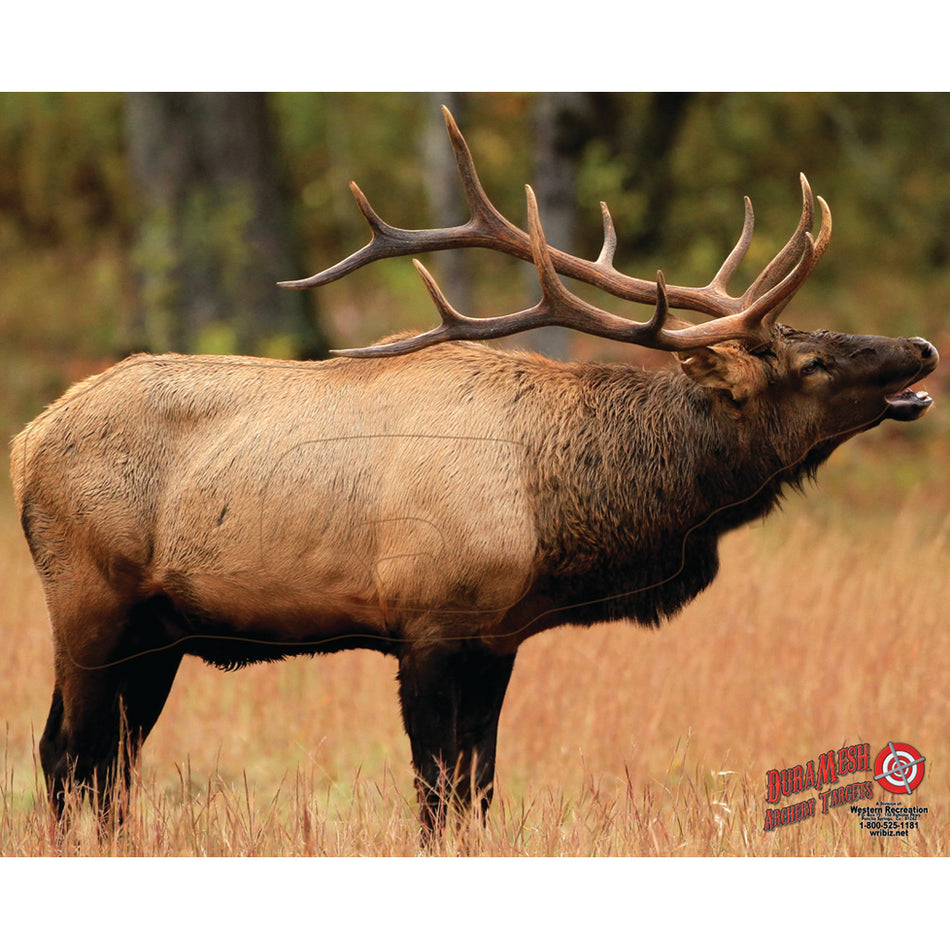 DuraMesh Elk 1 Archery Target, 32 in. x 25 in.