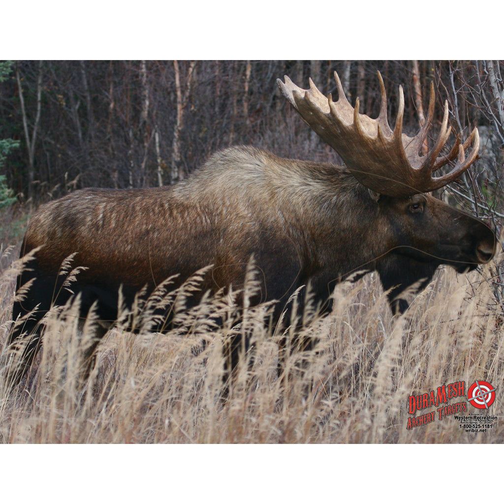 DuraMesh Moose Archery Target, 32 in. x 25 in.