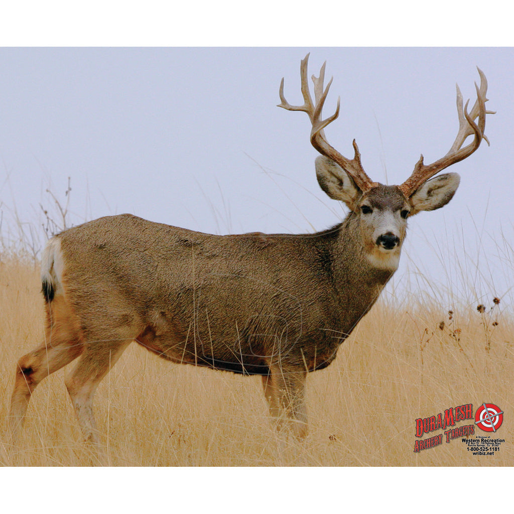 DuraMesh Mule Deer 2 Archery Target, 32 in. x 25 in.