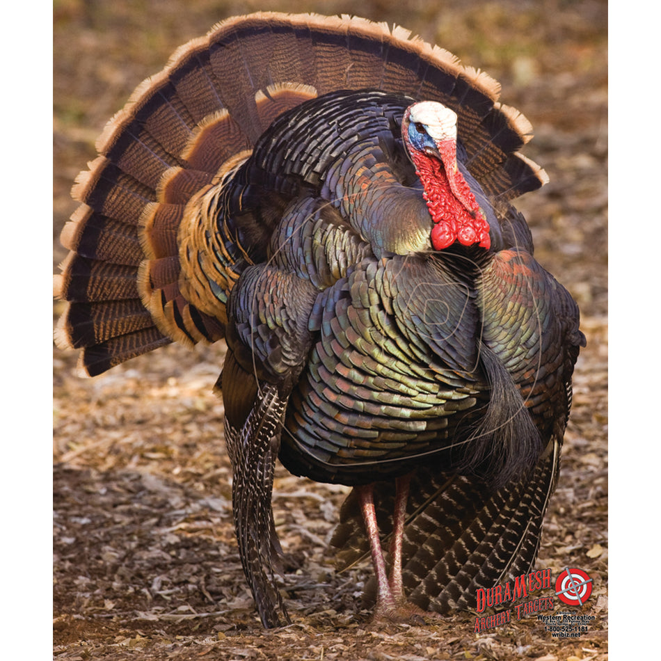 DuraMesh Turkey 3 Archery Target, 25 in. x 32 in.