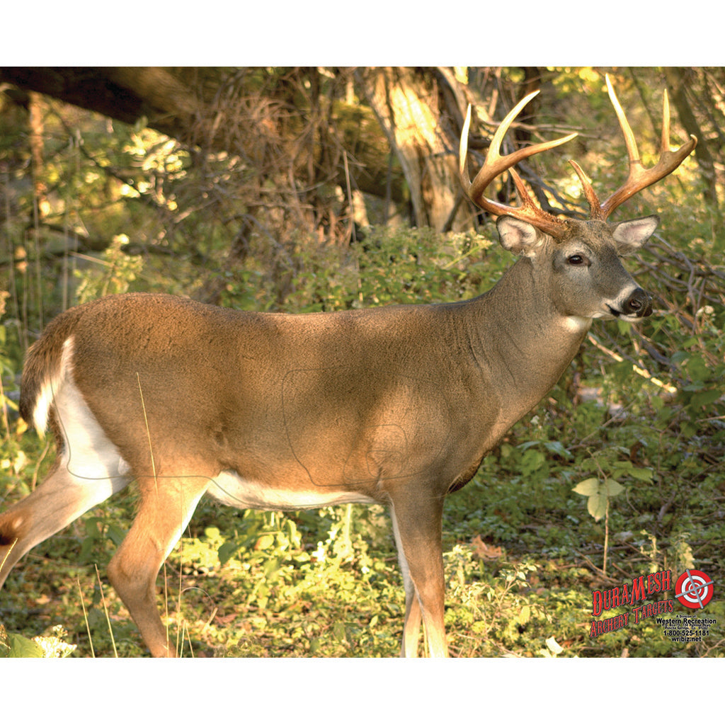 DuraMesh Whitetail 3 Archery Target, 32 in. x 25 in.