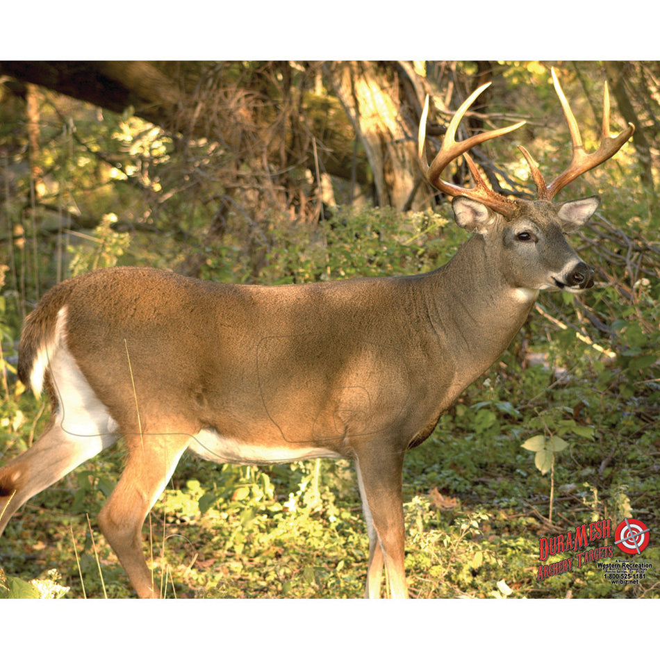DuraMesh Whitetail 3 Archery Target, 32 in. x 25 in.