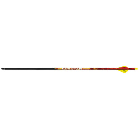 Black Eagle Spartan 350 Carbon Arrows .001 with Blazer Vanes, 6-Pack