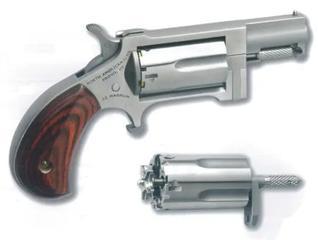 NAA Sidewinder Mini-Revolver, 22LR/22 Mag, Stainless Steel