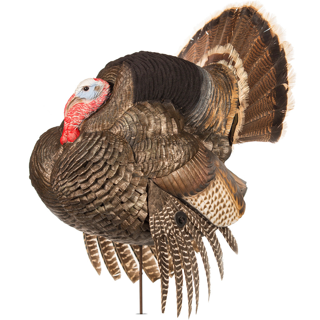 Dave Smith Decoys Strutter Tom Turkey Decoy with Motion Stake and Carry Bag