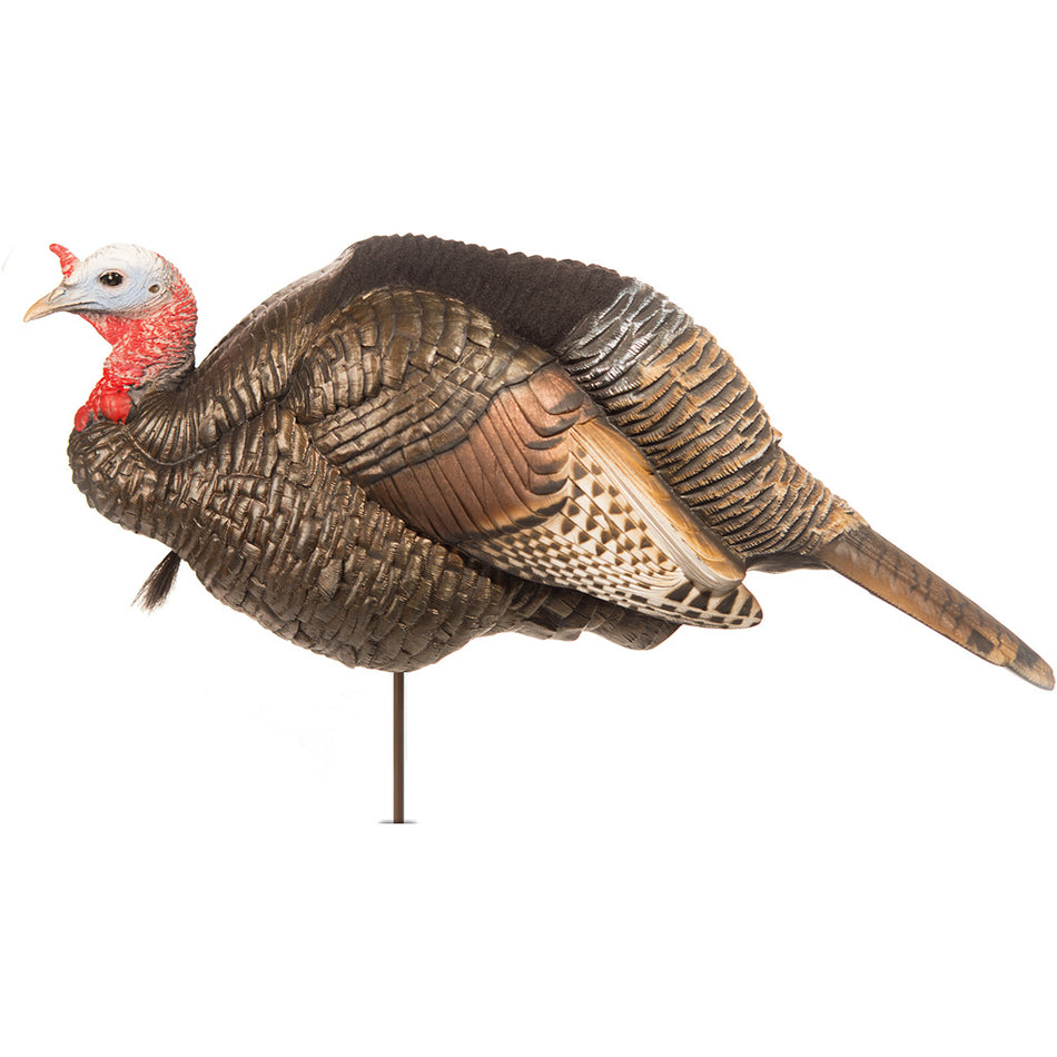 Dave Smith Decoys Jake 3/4 Strut Turkey Hunting Decoy Lightweight and Compact