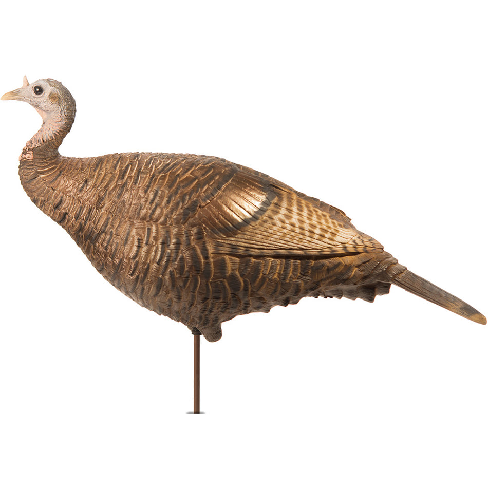 DSD Leading Hen Decoy with Ground Stake