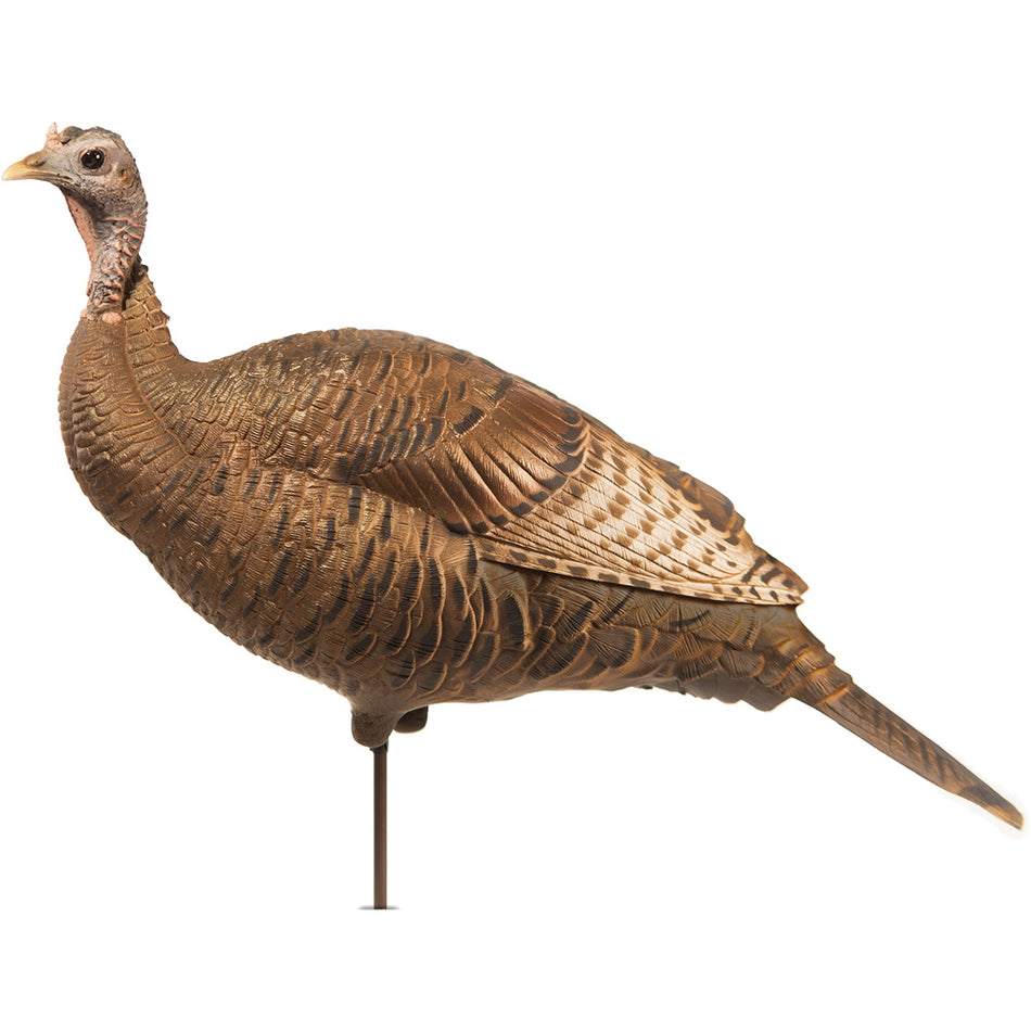 DSD Upright Hen Decoy with A.C.E. Resin