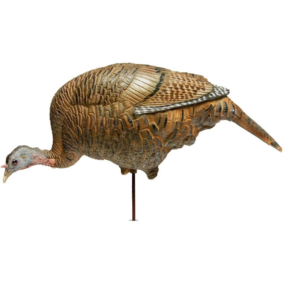 DSD Feeding Hen Decoy with A.C.E. Technology