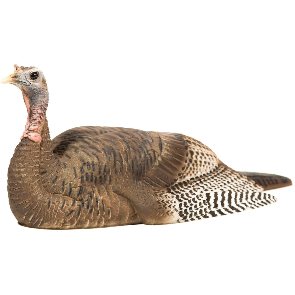 DSD Mating Hen Decoy for Turkey Hunting