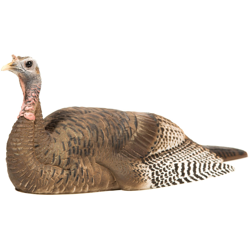 DSD Mating Hen Decoy for Turkey Hunting