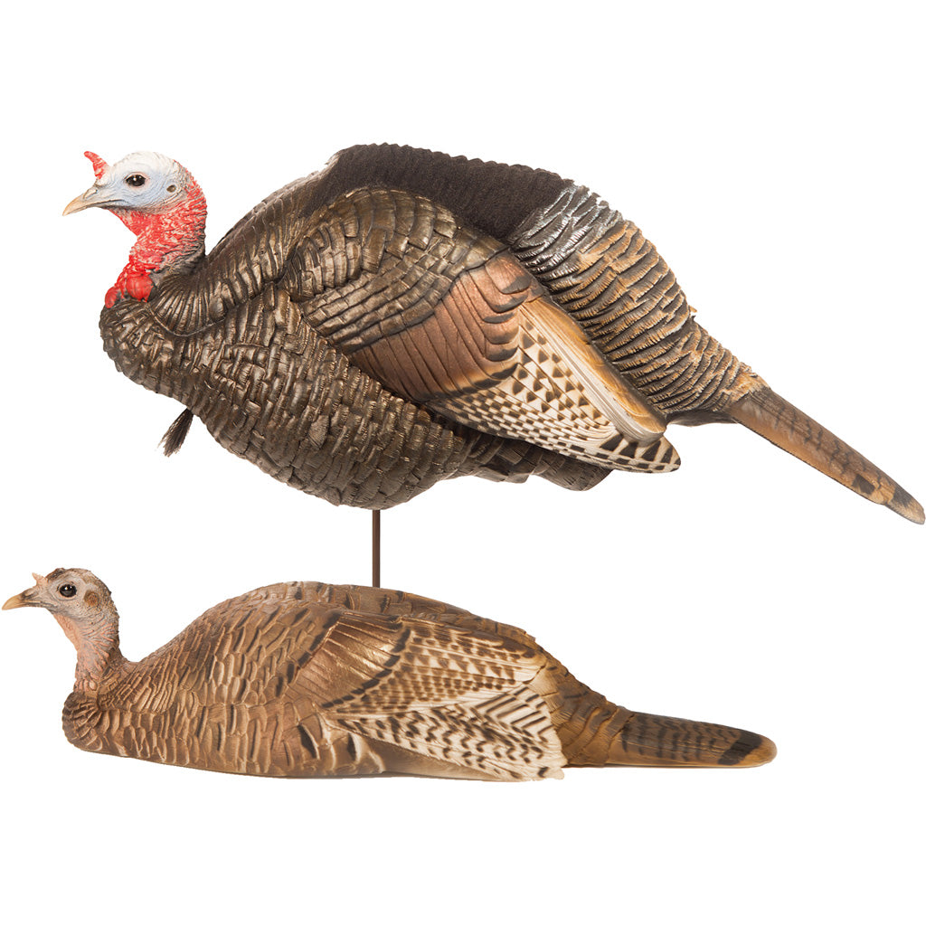 DSD Breeding Pair Turkey Decoys Jake and Hen