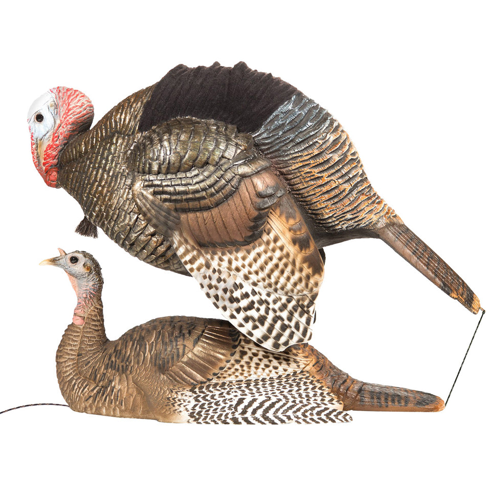 DSD Mating Motion Pair Decoys with Jerk Cord