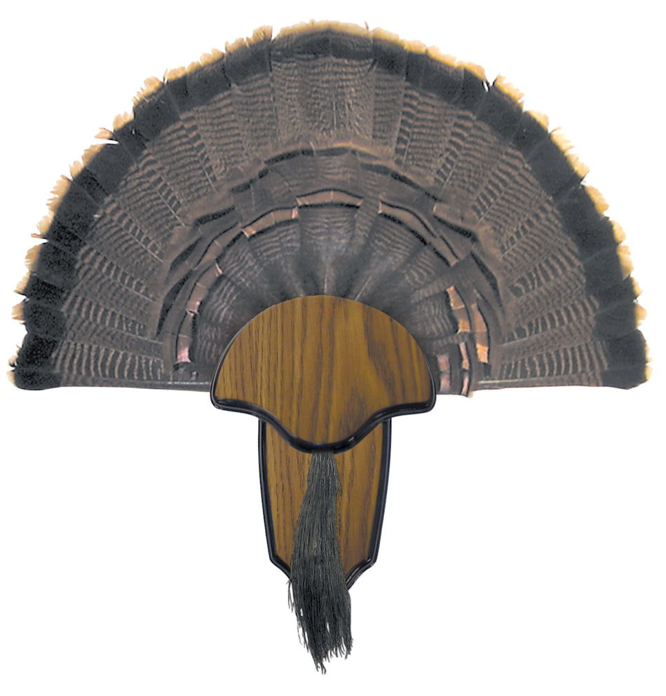 HS Strut Turkey Tail and Beard Mounting Kit with Brass Nameplate