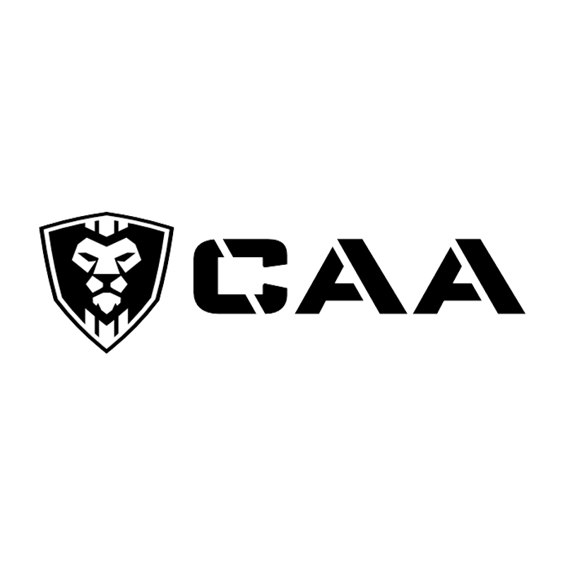 CAA Micro Belt Holster Compatible with Old & New Micro-RONI