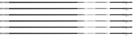 Altra Arrows 204 Centrum Premier 32in 250 Spine Fletched 6pk