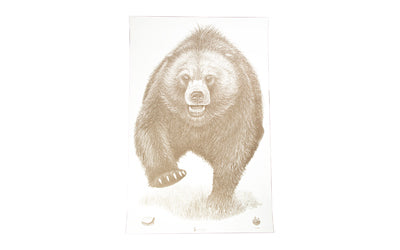 Action Target ASP-BB-100 Alaska State Parks Bear Paper Target, 23"x35", Box of 100
