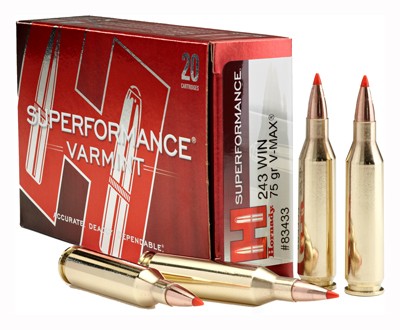 Hornady .243 Winchester 83433 Superformance Varmint Hornady V-Max 75 Grain